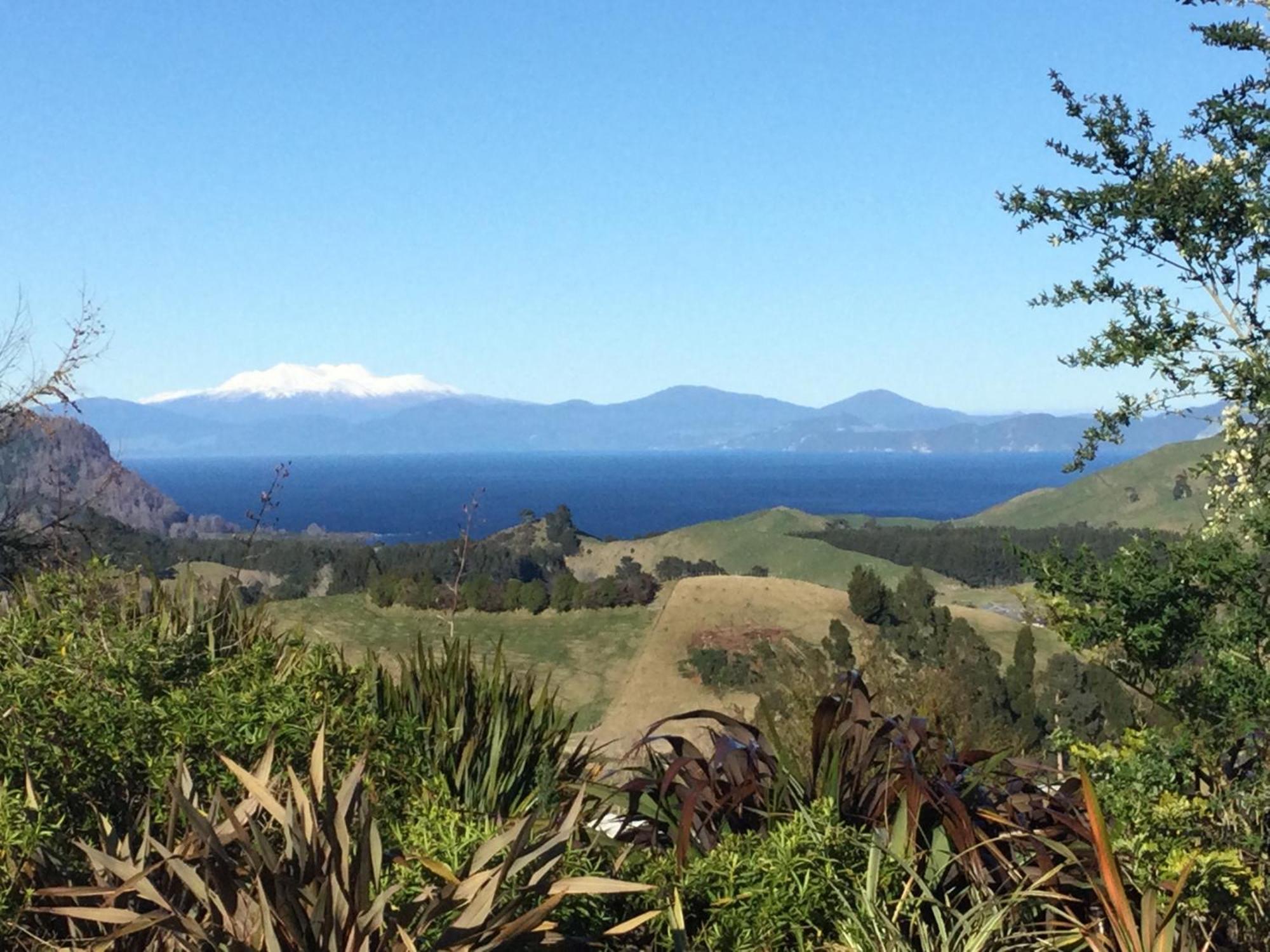 Whakaipo Bay Cabin Retreat Lago Taupo Exterior foto